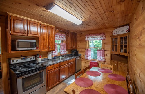 Warrensville Cabina | Spout Branch Cabin - On The New River - Firepit - Fishing