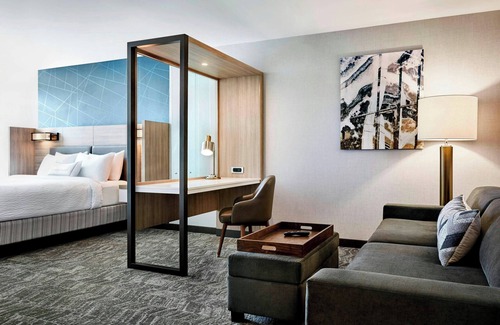 Locust Grove Hotel | Springhill Suites By Marriott Locust Grove