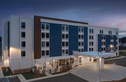 Cape Fear Hotel | SpringHill Suites by Marriott Fayetteville I-95