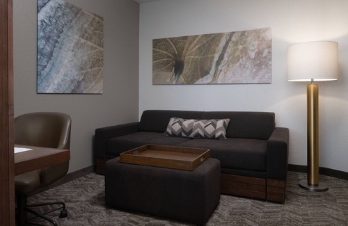 Florida Central Atlantic Coast Hotel | SpringHill Suites Orlando at FLAMINGO CROSSINGS® Town Center/Western Entrance