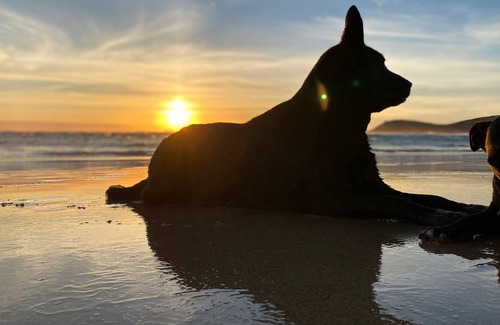 Treator Cabina | ST PETROCS 7, family friendly, luxury holiday cottage in Padstow