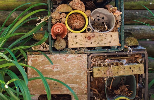 Treator Cabina | ST PETROCS 8, pet friendly, luxury holiday cottage in Padstow