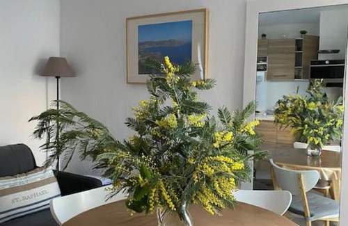 Boulouris-sur-Mer Apartamento | St Raphaël 37m2, piscine, wifi, commerces mer 5mn à pieds