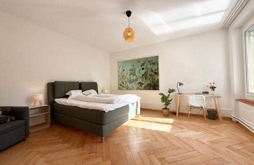 Mattenhof-Weissenbuhl Apartamento | Stadtwohnung Lilly