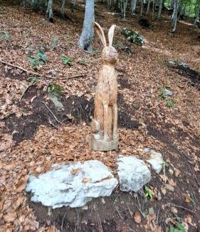 Sottoguda Apartamento | Staguda 59