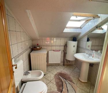 Mali Radic Apartamento | Stan na dan Cazin