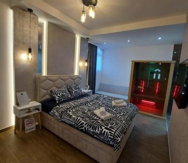 Central Serbia Apartamento | Stan na dan PREMIUM 1 Obrenovac
