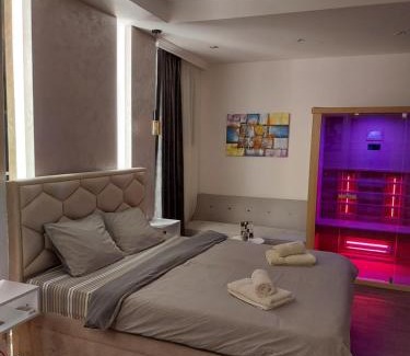 Central Serbia Apartamento | Stan na dan PREMIUM 1 Obrenovac