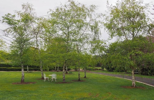 Stanley Cabaña | Stanley Hideaway - peaceful and pet friendly