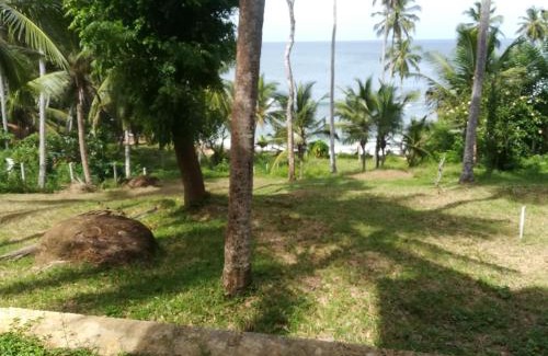 Tangalle Casa | Star beach hotel