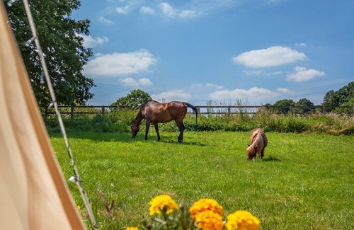 Shepshed Cabina | Star Gazing Bell Tent Farm Stay
