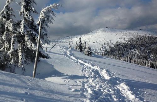 Zachelmie Casa | Stara Willa