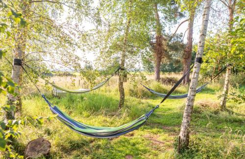 Bromsash Otro | Stargazer Glamping UK Orion 4-Person