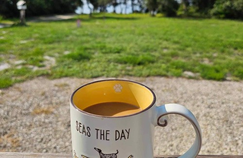 Eastpoint Casa | Starry Night Cottage Bayfront Pet Friendly Fenced Yard Sleeps 4