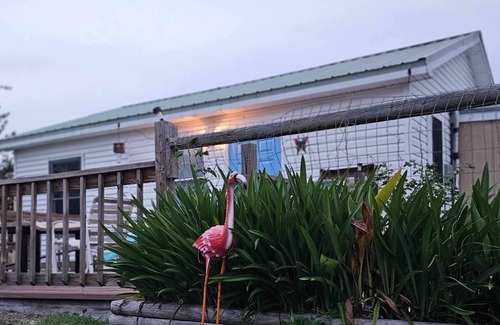 Eastpoint Casa | Starry Night Cottage Bayfront Pet Friendly Fenced Yard Sleeps 4