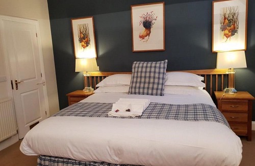 Didcot Hotel | Starry Sky Hotel