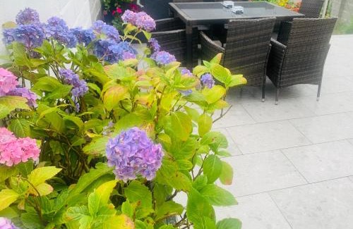 Ballina Casa | Station House