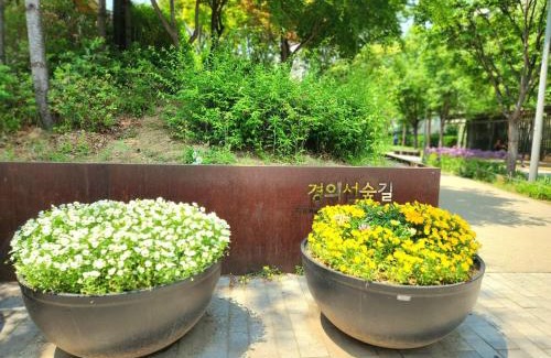 Yongmun-dong Apartamento | Stay Byulbam - 5mins to Hyochang Park Station