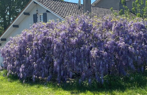 Valeuil Casa | Permanecer en el campagne- Dordoña