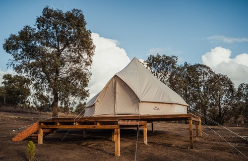 Valle de Guadalupe Alquiler De RV | Stay in the Heart of Valle de Guadalupe in a Luxury Glamping Experience