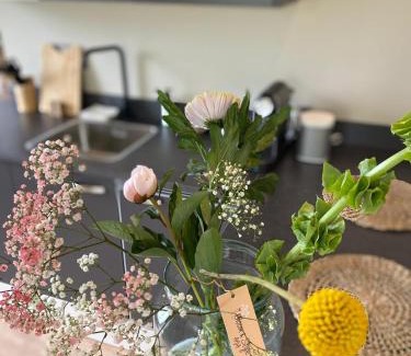 Harlingen Cama Y Desayuno | Stay-Inn Harlingen