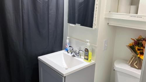 West St. Paul Apartamento | Stay St Paul Haven