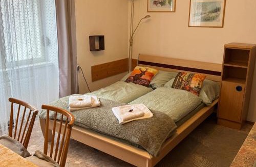 Murau Apartamento | Steinadler apartman kertes ház csendes helyen saját parkolóval kutyabarát