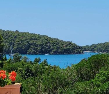 Vinkuran Casa | Stella apartments