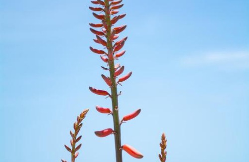 Myrtos Apartamento | Stella's Beach House