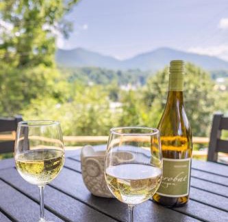 Bryson City Casa | STEPS TO BRYSON - MTN VIEWS, HOT TUB, FIREPIT, WALK TO TOWN!