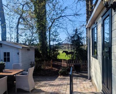 Epe Chalet De Esquí | Stijlvol, rustig chalet midden in de Veluwse natuur mét weidezicht