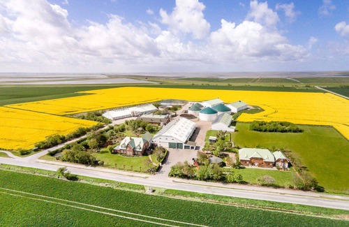 Reussenkoge Apartamento | Stilvolle 4-sterne-ferienwohnung "föhr" mit Eigener Terrasse und Deich-blick