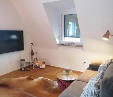 Wuerzburg Apartamento | stilvolle Wohnung direkt in der City