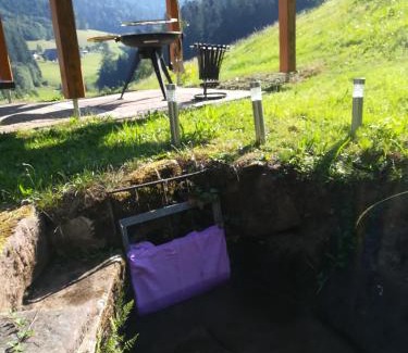 Oberharmersbach Apartamento | Stinneshof