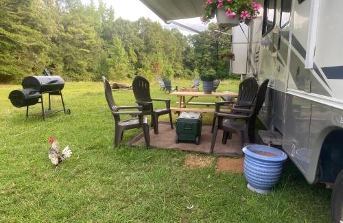 Rockdale County Otro | Stinnett Family Farm