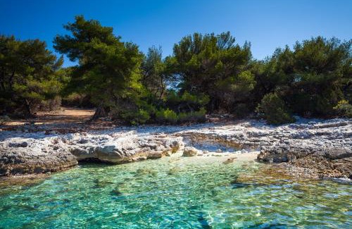 Vela Luka Casa | Stone House Villa Darinka