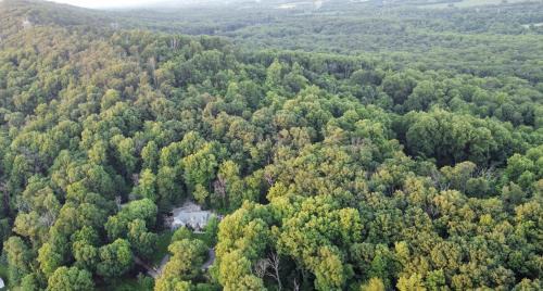 Tuscarora Casa | Stone Leaf Farm Private Nature Retreat with Pool, Waterfalls, Orchards & Gardens