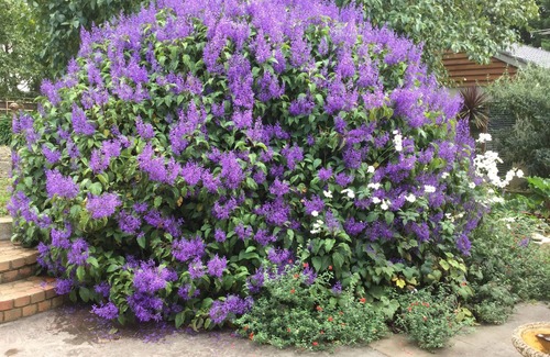 Main Ridge Cabaña | Stony Creek Cottages