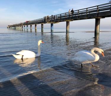 Tarnewitz Apartamento | Strandvilla Waldhaus