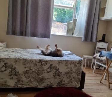 Luton Apartamento | Strangers Way