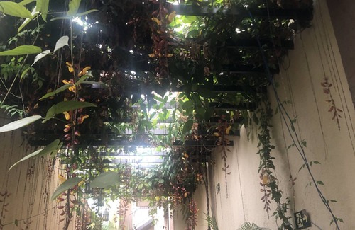 Padre Eustaquio Apartamento | Studio Aconchegante e bem Localizado no Coração Eucarístico