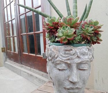 Oudtshoorn Casa | Studio 101