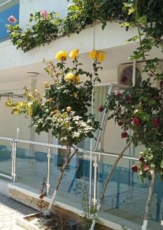 Nessebar Apartamento | Studio 41