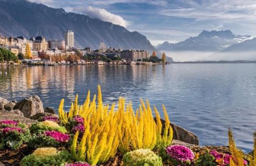 Territet Apartamento | Studio 5 places à deux pas du Lac