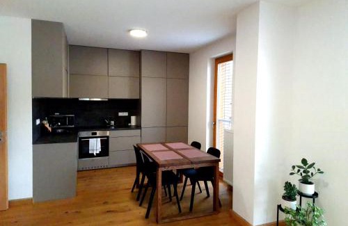 Zelezna Ruda Apartamento | Studio Apartman 22, Rezidence Javor