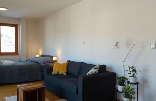 Zelezna Ruda Apartamento | Studio Apartman 22, Rezidence Javor
