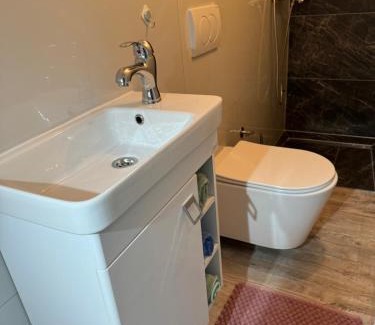 Mali Radic Casa | Studio apartman Cuprija