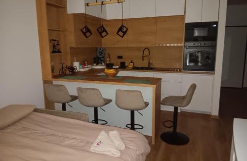 Krapina Apartamento | Studio apartman Hušnjakovo Hill