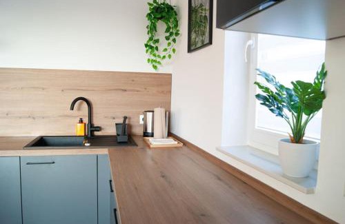 Marbach am Neckar Apartamento | Studio Apartment Marbach