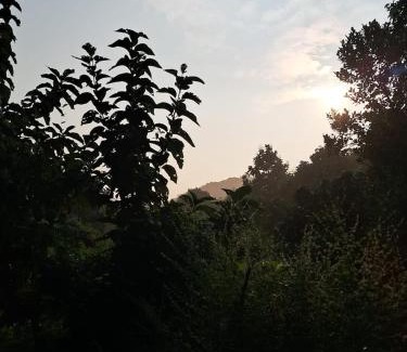 Arambol Apartamento | Studio Arambol Hideaway R4 by Mukund Sadan Arambol